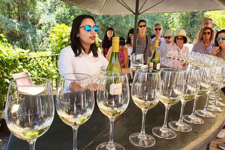 Private San Antonio, Visit Concha y Toro Winery & Transfer hotel - Photo 1 of 9